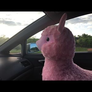 Meet your Posher, Carol